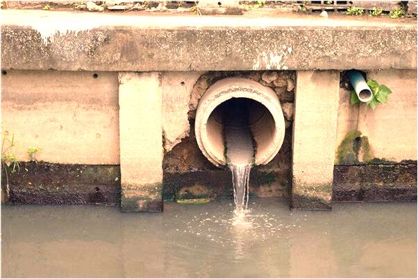 夢見夢胳膊爬滿毛毛蟲會有什麼預兆_周公解夢官網