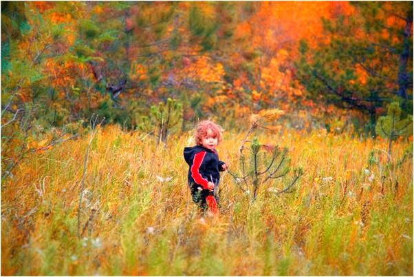 夢見朋友穿保全衣服怎么樣_周公解夢官網