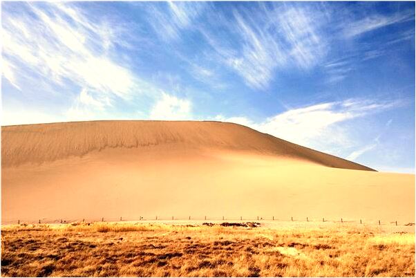 夢到別人要債意味什麼_周公解夢官網