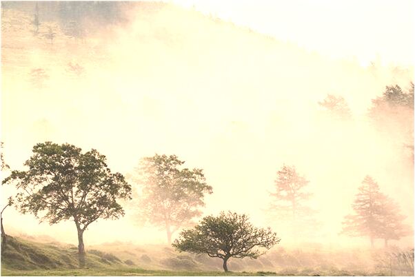 夢到了撿起女兒的鞋有什麼徵兆_周公解夢官網