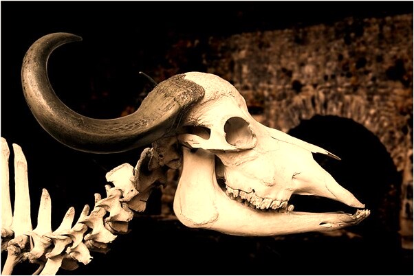 夢見請已故親人吃飯預示著什麼_周公解夢官網