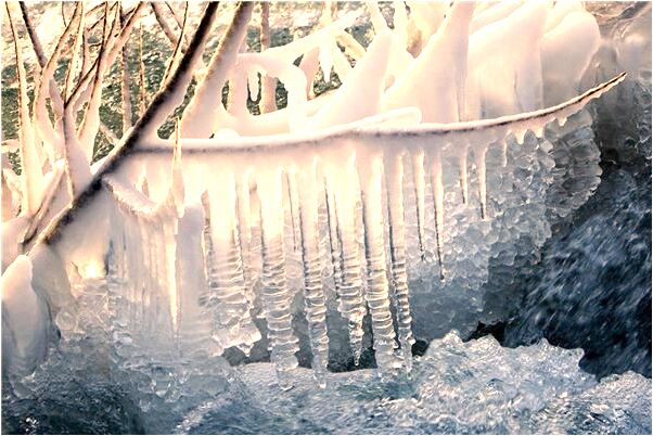 夢到金色的龍鳳啥意思_周公解夢官網