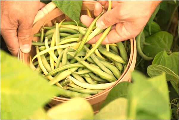 夢到了自己找不到房間意味著什麼_周公解夢官網