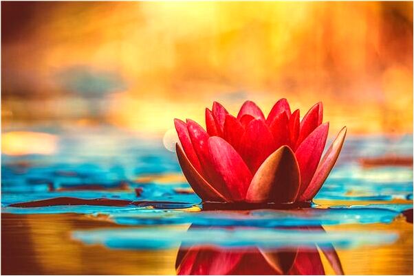 夢到了只要他在我面前我就死有什麼預兆_周公解夢官網