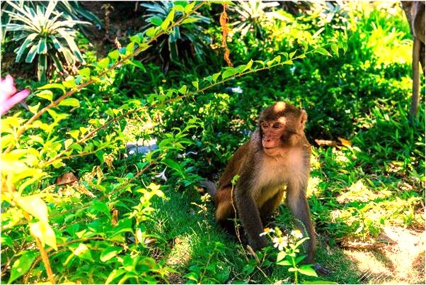 夢見單位人都換了意味著什麼_周公解夢官網