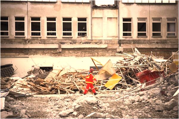 夢到生的小豬預示什麼_周公解夢官網