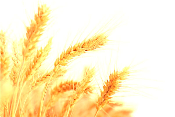 夢見旅遊回來途徑陡峭的石山路預示了什麼_周公解夢官網