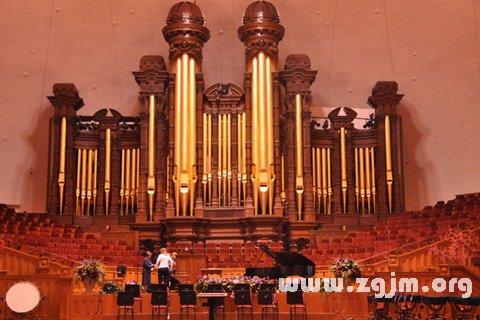 Dream of the organ