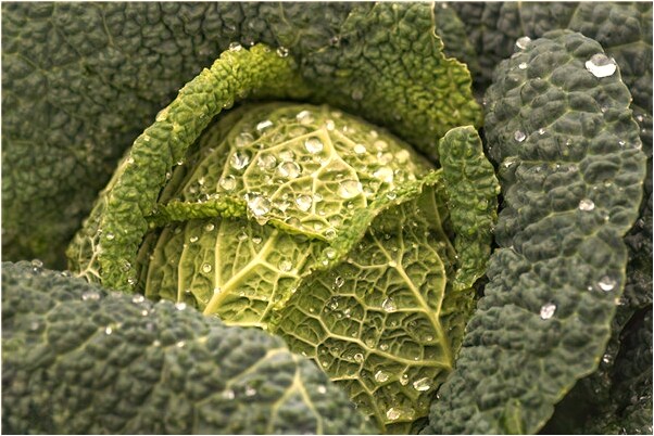 夢見街上人很多啥意思_周公解夢官網