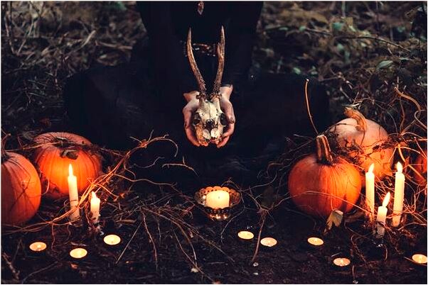 夢到了家裡來了好多蛇預示什麼_周公解夢官網