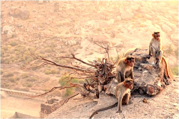 夢到了鄰居在我家附近車禍是什麼預兆?_周公解夢官網