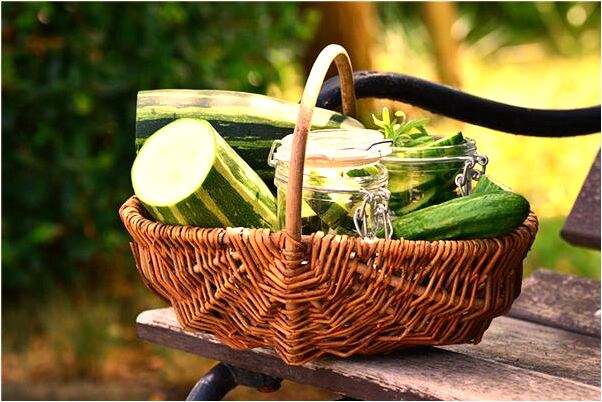 夢見趴在火車和飛機上會是什麼預兆_周公解夢官網