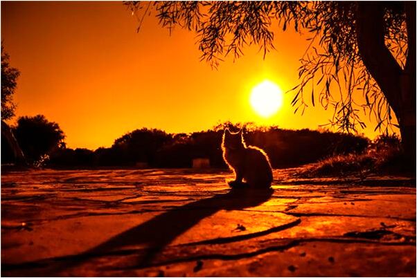 夢到了遍地雪好不好_周公解夢官網