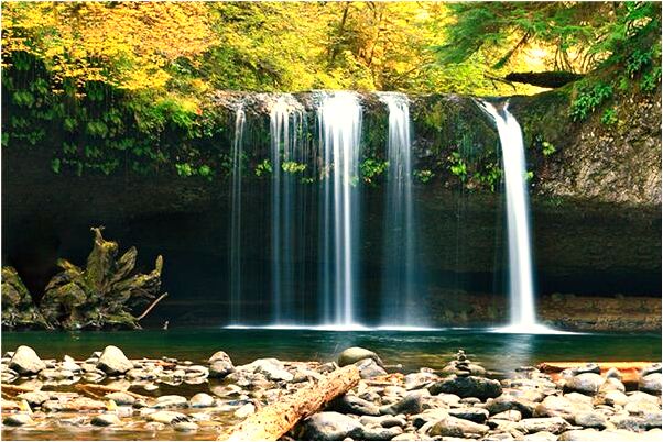 夢到龍在水果啥意思_周公解夢官網