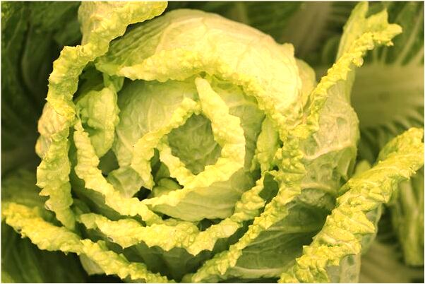 夢到見神婆殺雞放血是什麼意思_周公解夢官網