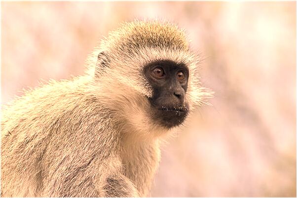 夢到了自己生小孩子是咋回事_周公解夢官網