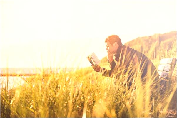 夢見打死一頭狼代表著什麼？_周公解夢官網