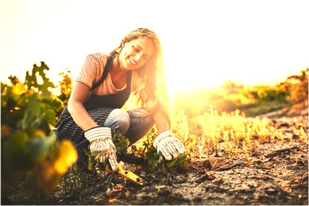 夢見短路等焦急好不好_周公解夢官網