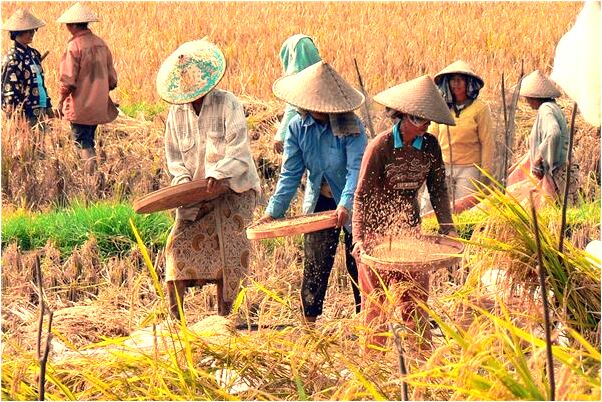 夢到佛祖說我是九天玄女轉世啥意思_周公解夢官網
