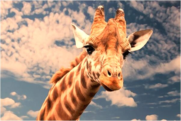 夢到地上有好多白霜好不好_周公解夢官網