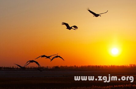 最擅長化敵為友的星座_十二星座