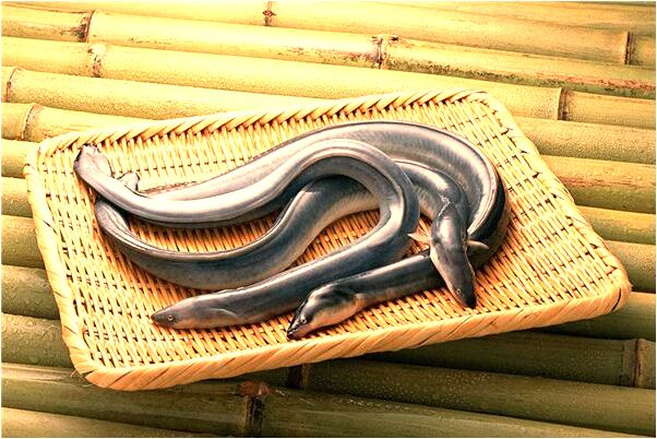 夢到了手手鐲壞了是啥意思_周公解夢官網