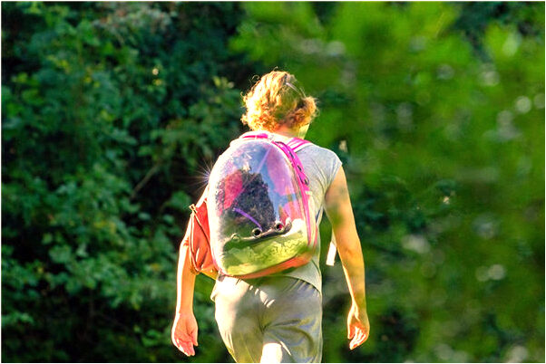 夢到了夢裡海水潮湧是好是壞_周公解夢官網