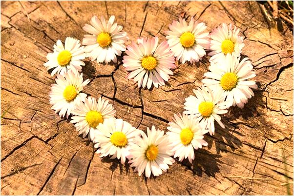 夢到媽為救女兒溺水身亡會怎么樣_周公解夢官網