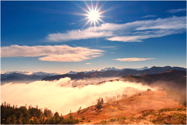 夢到頭髮很多髒物有什麼預兆_周公解夢官網