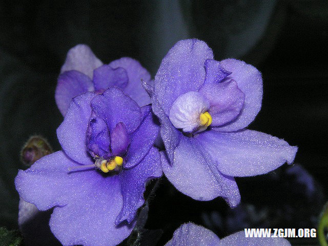 夢見和美女親熱_周公解夢夢到和美女親熱是什麼意思_做夢夢見和美女親熱好不好_周公解夢官網