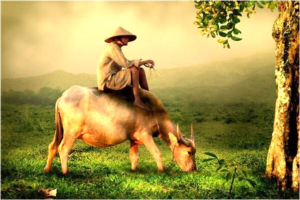 夢到了講經說法意味著什麼_周公解夢官網