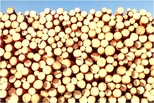 夢見我在海里意味什麼_周公解夢官網