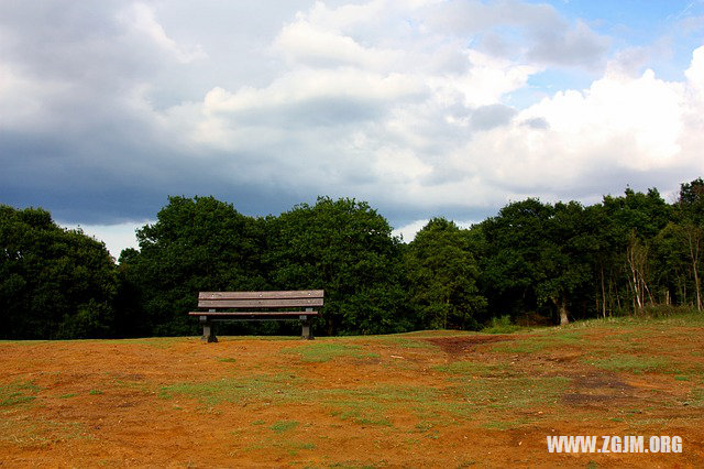 夢見救出落水的人_周公解夢夢到救出落水的人是什麼意思_做夢夢見救出落水的人好不好_周公解夢官網