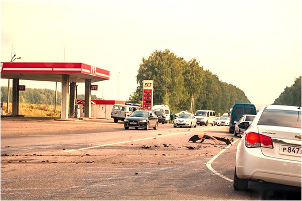 夢到吐出一群鳥是好是壞_周公解夢官網