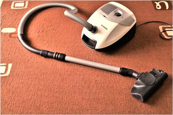 夢到人狗一起跳水預示了什麼_周公解夢官網