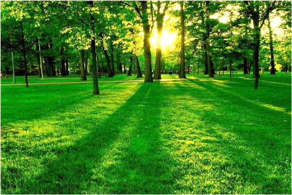 夢到魚缸魚有什麼意思嗎_周公解夢官網