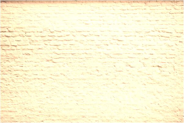 夢到女人很多條蛇是凶兆還是吉兆_周公解夢官網