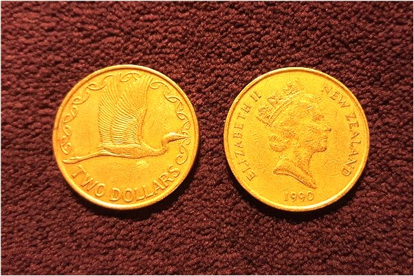 夢到了捉到一隻鴿子是怎么回事_周公解夢官網