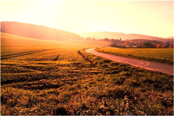 夢見自己認識的人死了是什麼意思?_周公解夢官網