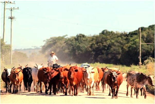 夢見連續幾天喜歡的人有什麼預兆_周公解夢官網