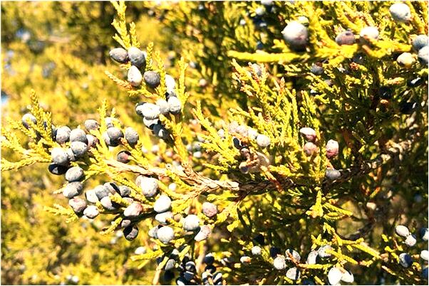 夢到了自己很緊張怕錢被偷預兆了什麼嗎_周公解夢官網