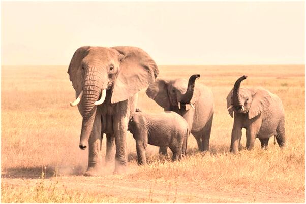 夢到一個奇幻的世界有什麼說法_周公解夢官網
