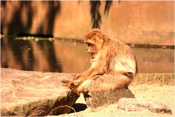 夢到了有一個孩子尿了我一身預示什麼_周公解夢官網