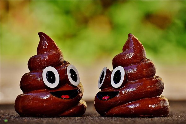 夢見自己屎意味著什麼_周公解夢