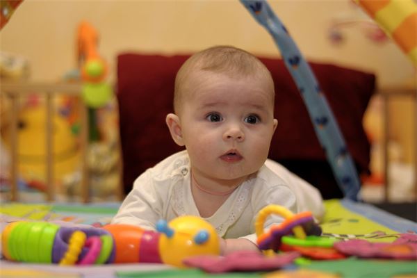 2020年生肖鼠的性格_十二生肖