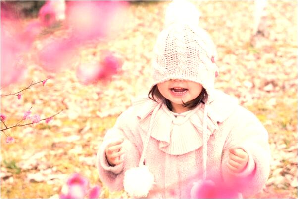 夢見公雞吃桌球有什麼說法_周公解夢官網