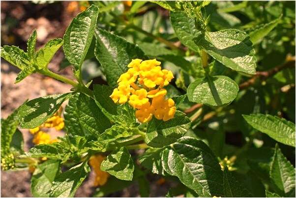 夢到了孩子出走代表著什麼？_周公解夢官網