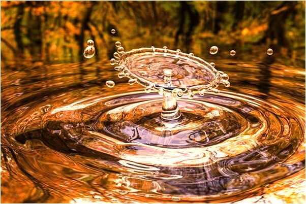 夢到了搖掉樹上的桃子是什麼預兆？_周公解夢官網