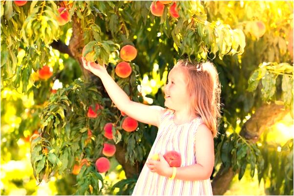 夢見一個人一天可以喝多少牛奶是怎么回事_周公解夢官網