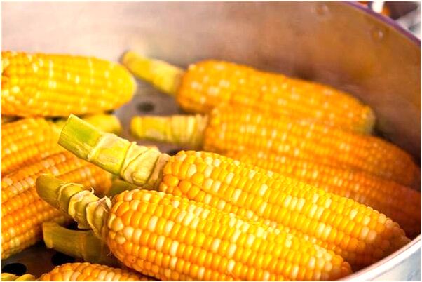 夢到熊一直追著我代表著什麼_周公解夢官網